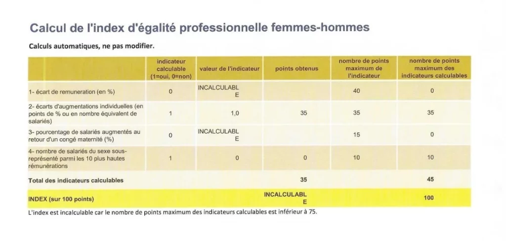 Index Egalité Professionnelle 2021_5_edited